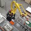 Robotic palletizer RPW Series - top view - Premier Tech